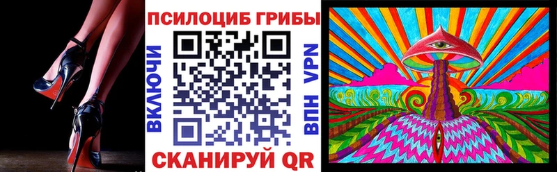 shop официальный сайт  мега вход  Кувшиново  Псилоцибиновые грибы мицелий 